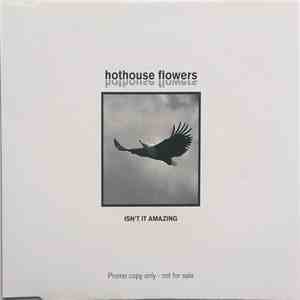 Hothouse Flowers - Isn't It Amazing