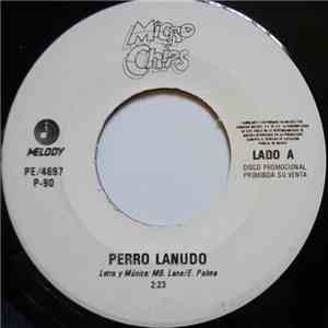 Microchips - Perro Lanudo