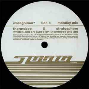 Thermobee & Stratosphere - Wassgoinon?
