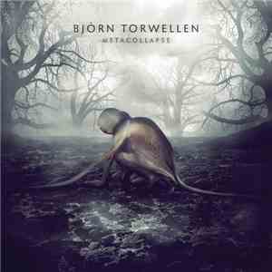 Björn Torwellen - Metacollapse