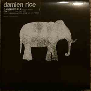 Damien Rice - Cannonball