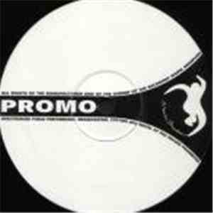 Dead Calm - New Format Jazz / Mood Swingz