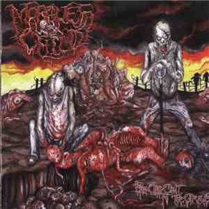 Morgue's Child - ...From The Cunt To The Grave