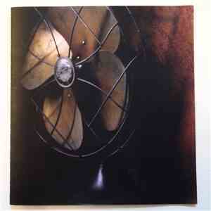 Digital Loop, Ademar Mello - Transistors