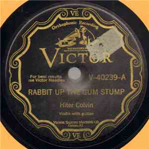 Hiter Colvin - Rabbit Up The Gum Stump / Monroe Stamp