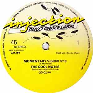 The Cool Notes - Momentary Vision