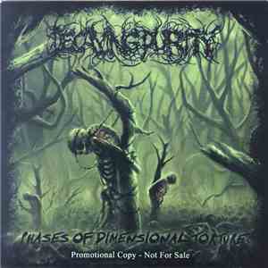 Decaying Purity - Phases Of Dimensional Torture