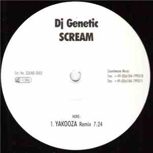 DJ Genetic - Scream