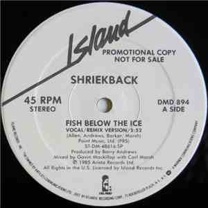 Shriekback - Fish Below The Ice