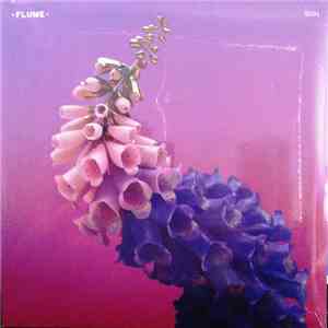 Flume - Skin