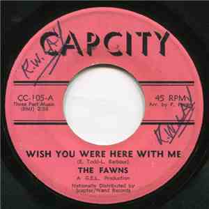 The Fawns - Wish You Were Here With Me / Nothing But Love Can Save Me