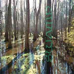 Swamp - Swamp
