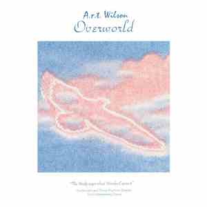 A.r.t. Wilson - Overworld