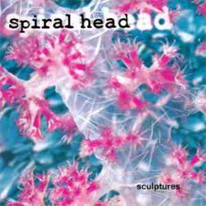 Spiral Head - Sculptures