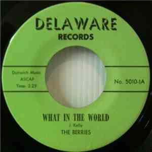 The Berries  -  What In The World / Baby Won't You Follow Me Down