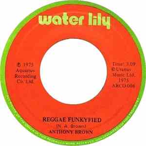 Anthony Brown - Reggae Funkyfied / Guess You Didn't Know