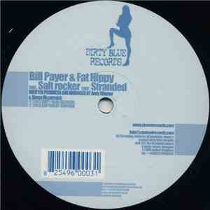 Bill Payer & Fat Hippy - Salt Rocker