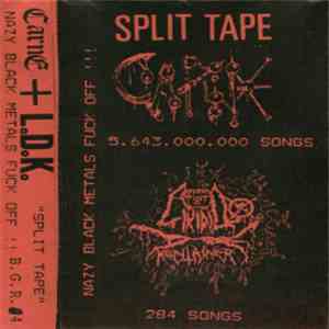 Carne / Likidillo De Kontainer - Nazy Black Metals Fuck Off !!!
