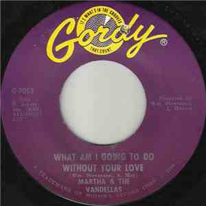 Martha & The Vandellas - What Am I Going To Do Without Your Love
