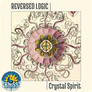 Reversed Logic - Crystal Spirit