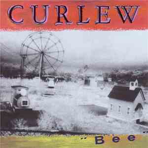 Curlew - Bee