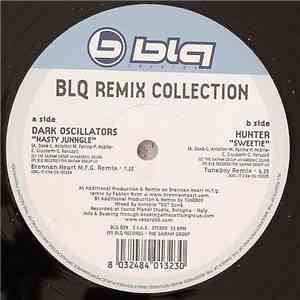 Dark Oscillators / Hunter - Blq Remix Collection