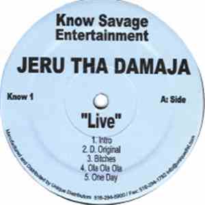 Jeru The Damaja - Live