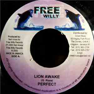 Perfect  - Lion Awake