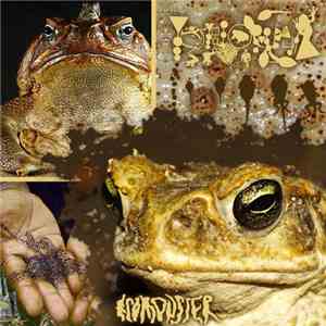 Phyllomedusa - Ecomonster