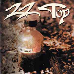 ZZ Top - Rhythmeen