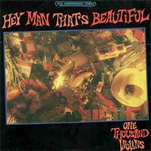 One Thousand Violins - Hey Man That's Beautiful