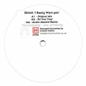 Shiloh - I Really Want U