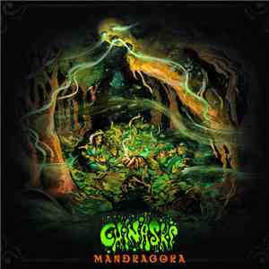 Chinaski - Mandrágora