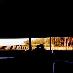 Zimzari - A Trip To Florida