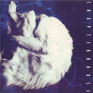 Chapterhouse - Whirlpool