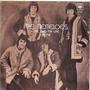 The Tremeloes - Me And My Life