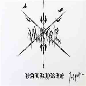Valkyrie  - Despair....