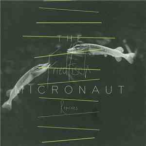 The Micronaut - Friedfisch (Remixes)
