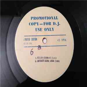 Adamski, Guru Josh, Francesco Napoli, Tina Turner - Promotional DJ Copy