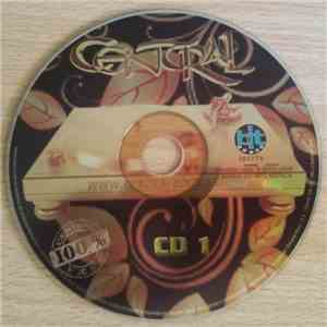 Various - Central 100 %