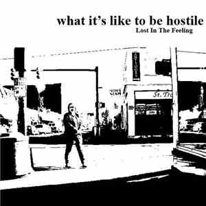 What It's Like To Be Hostile - Lost In The Feeling