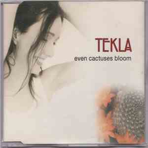 Tekla - Even Cactuses Bloom
