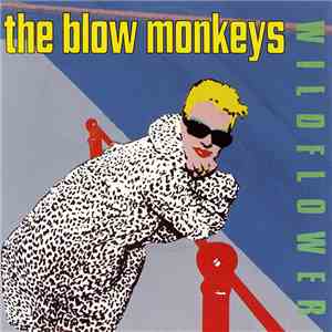 The Blow Monkeys - Wildflower