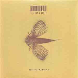 To Bury A Ghost - The Hurt Kingdom