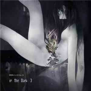 Various - In The Dark 3