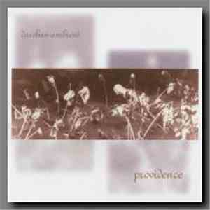 Darshan Ambient - Providence