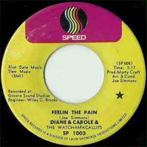 Dianne & Carole & The Watchamacallits - Feelin The Pain / The Fuzz