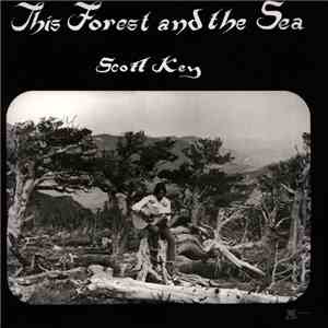 Scott Key  - This Forest And The Sea