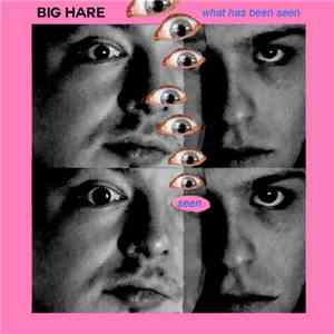 Big Hare - What Has Been Seen
