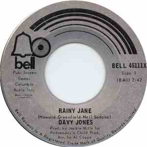 Davy Jones - Rainy Jane